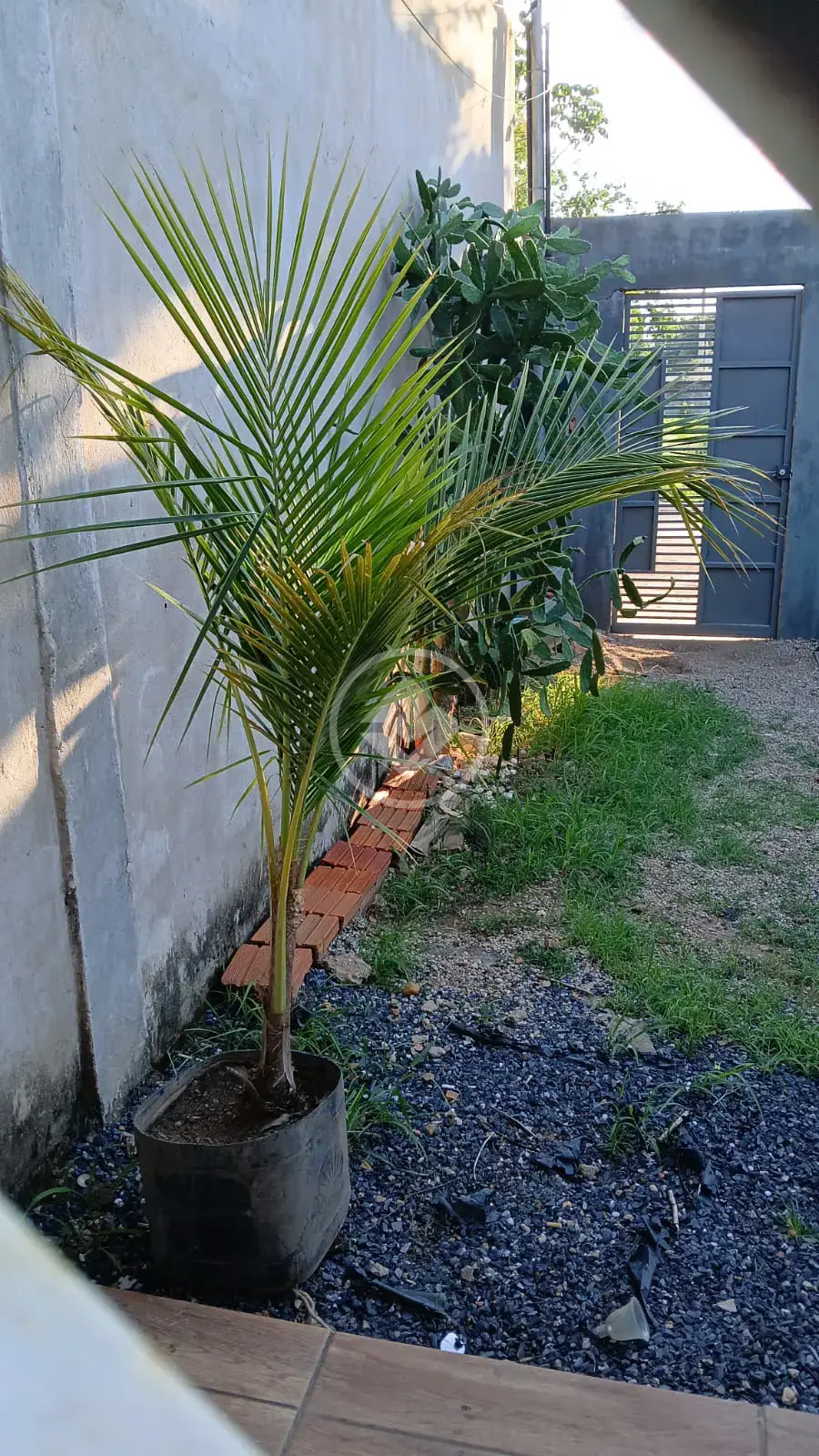 Casa 2 quartos no Loteamento Residencial Nico Baracat, Cuiabá — foto 5 de 5
