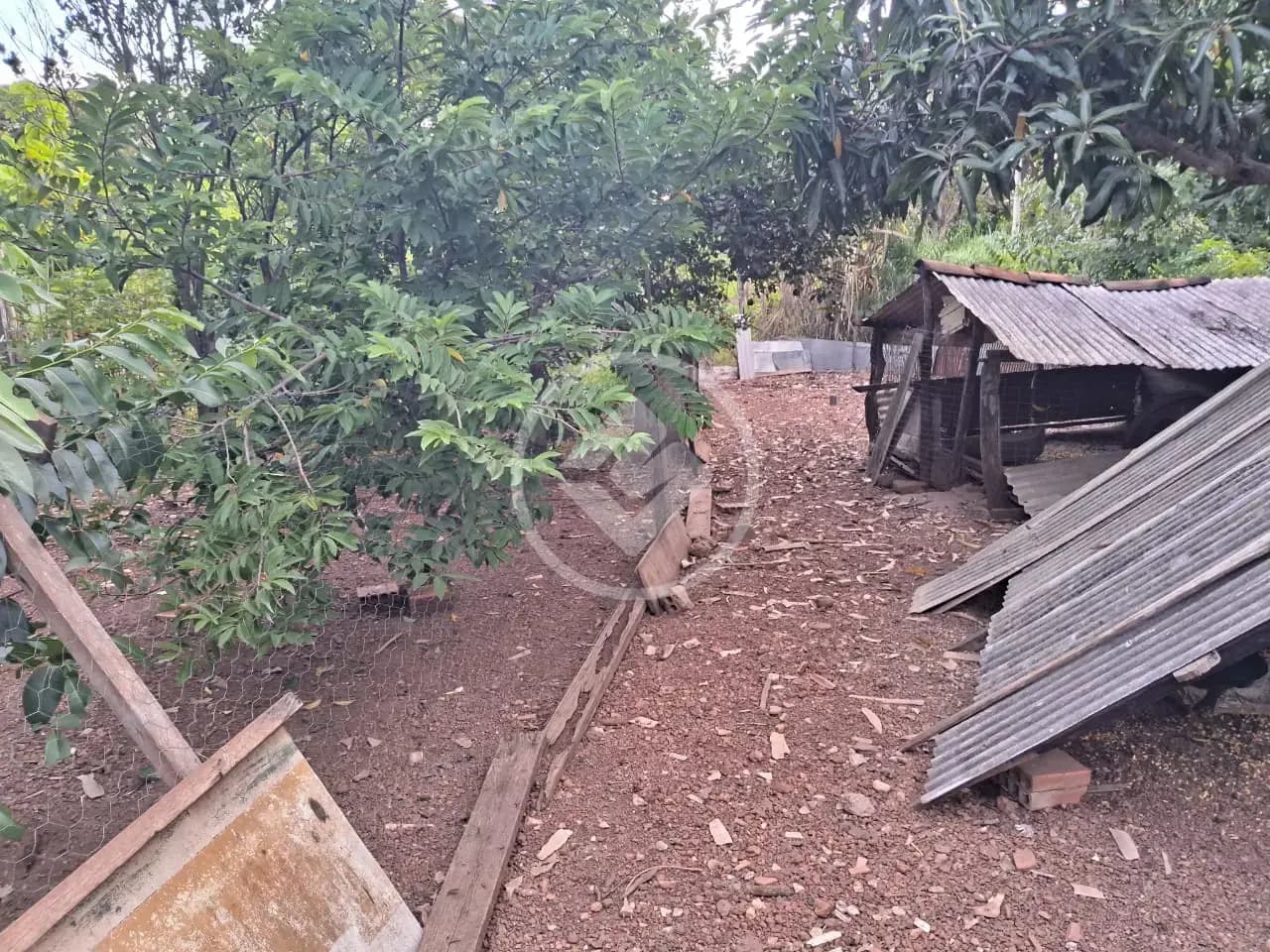 Chácara Zona Rural, Acorizal - MT — foto 2