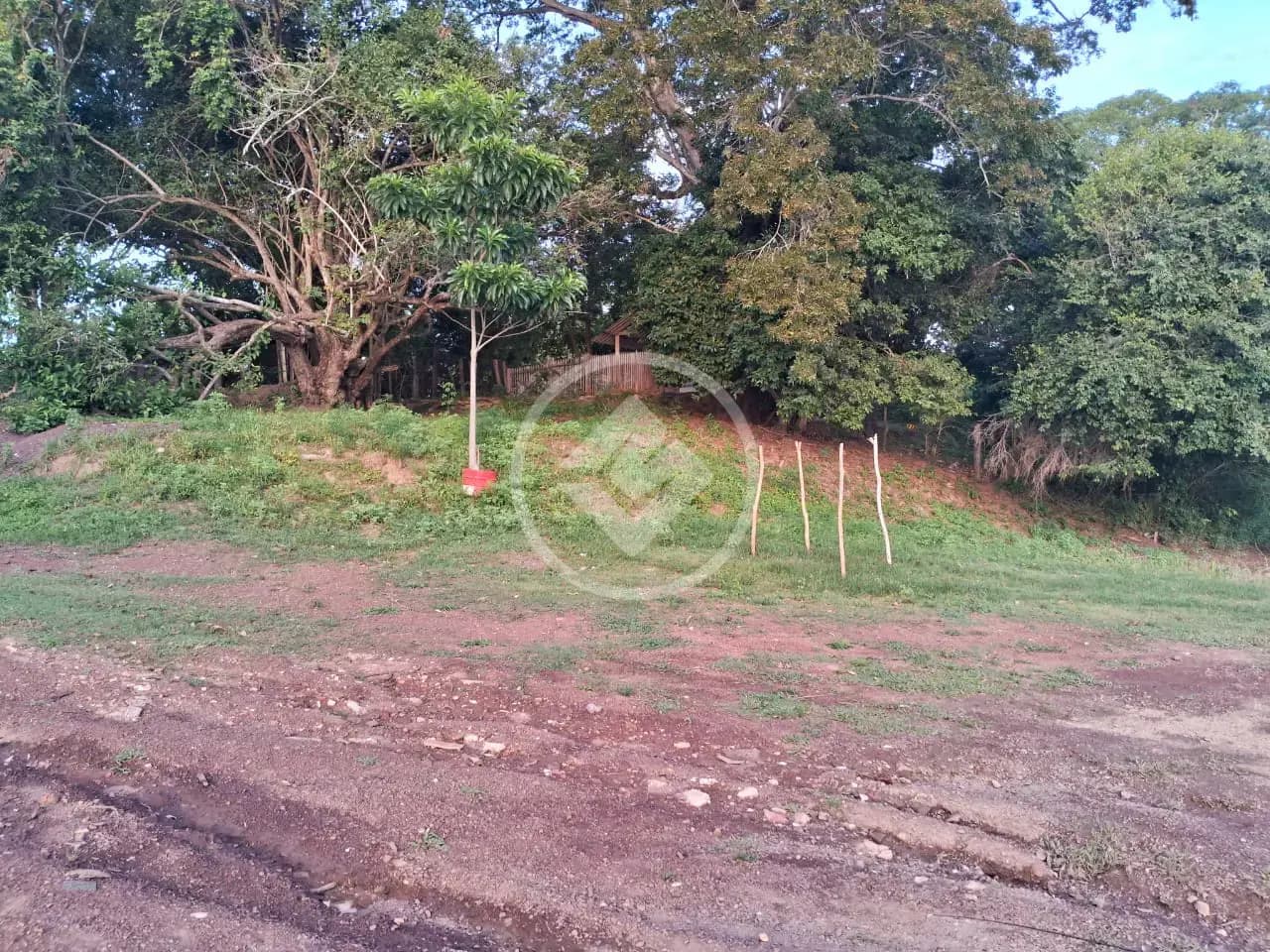 Chácara 2 quartos no Zona Rural, Acorizal — foto 6 de 6