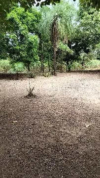 Chácara 2 quartos no Pedra 90, Cuiabá — foto 5 de 6