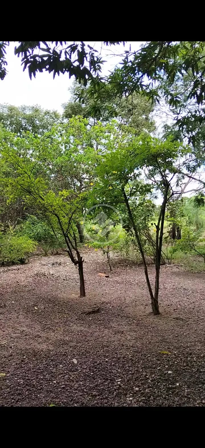Chácara 2 quartos no Pedra 90, Cuiabá — foto 6 de 6