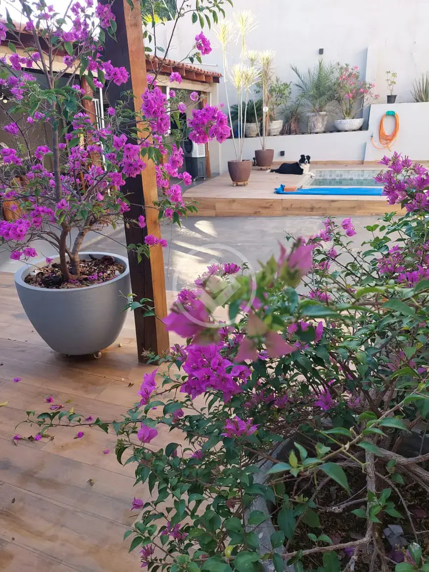 Casa Poção, Cuiabá - MT — foto 2