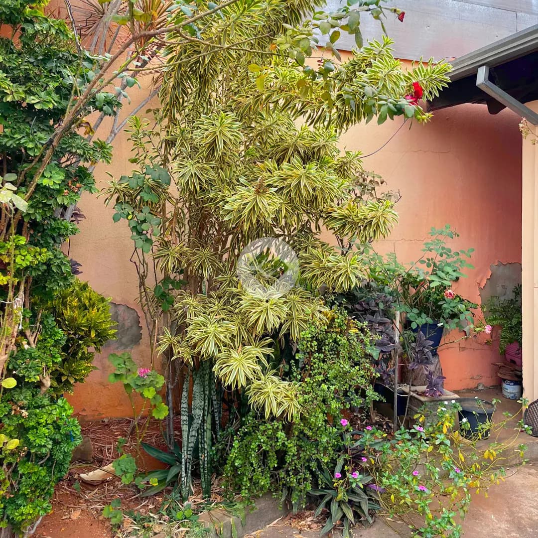 Casa 4 quartos no Engenheiro Clovis Freitas Leal, Araxá — foto 5 de 6