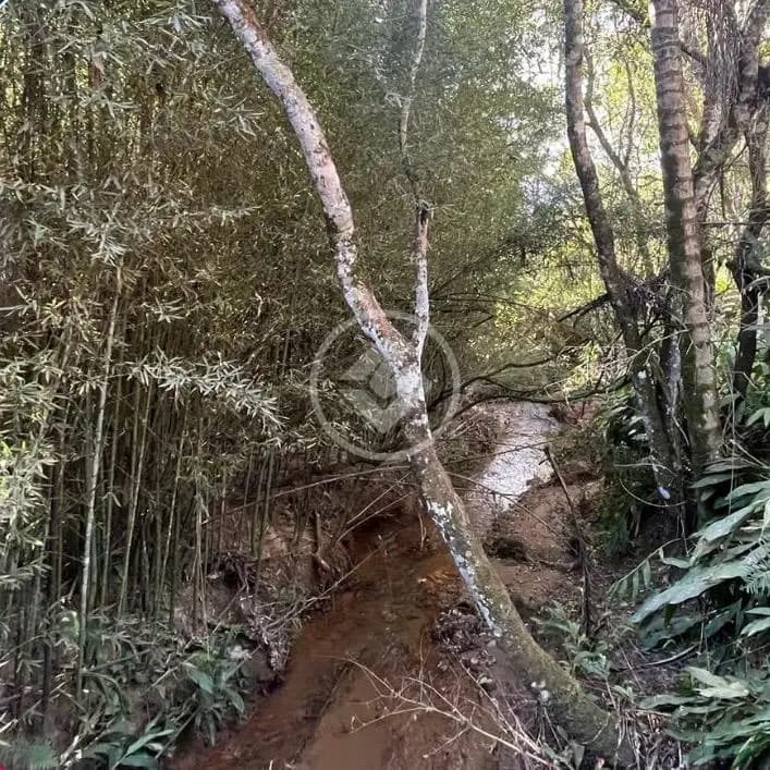 Fazenda no Pão-de-Açúcar, Araxá — foto 4 de 6