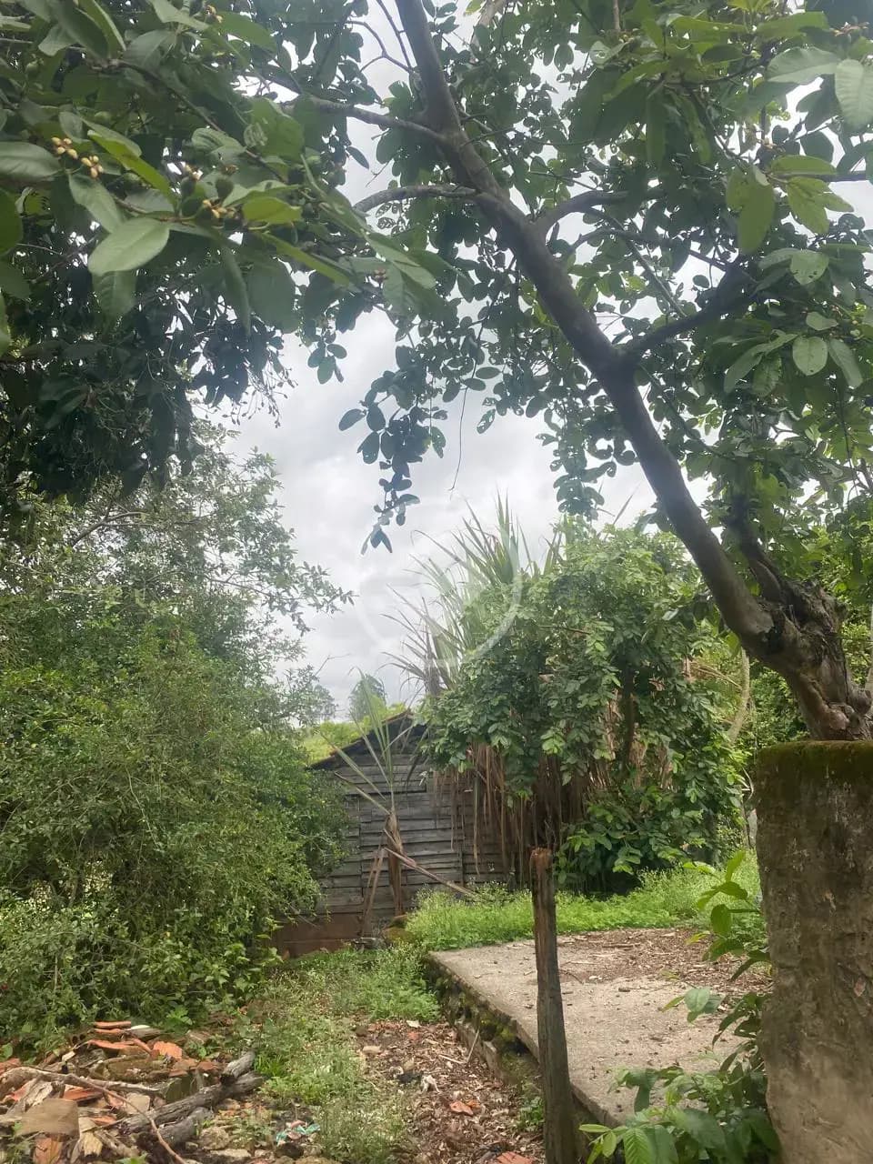 Chácara 7 quartos no Área Rural de Uberlândia, Uberlândia — foto 3 de 6