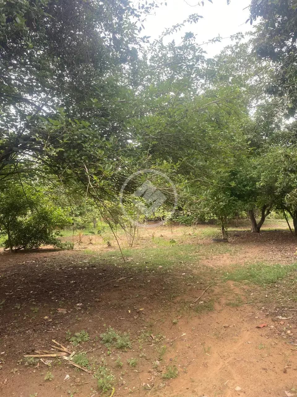 Chácara 7 quartos no Área Rural de Uberlândia, Uberlândia — foto 4 de 6