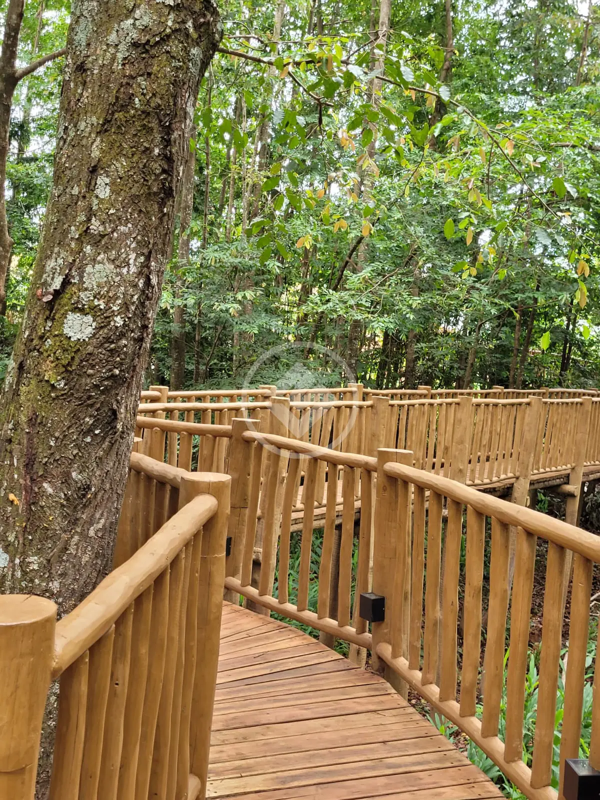 Terreno Condomínio no Parqville Quaresmeira, Trindade — foto 6 de 6