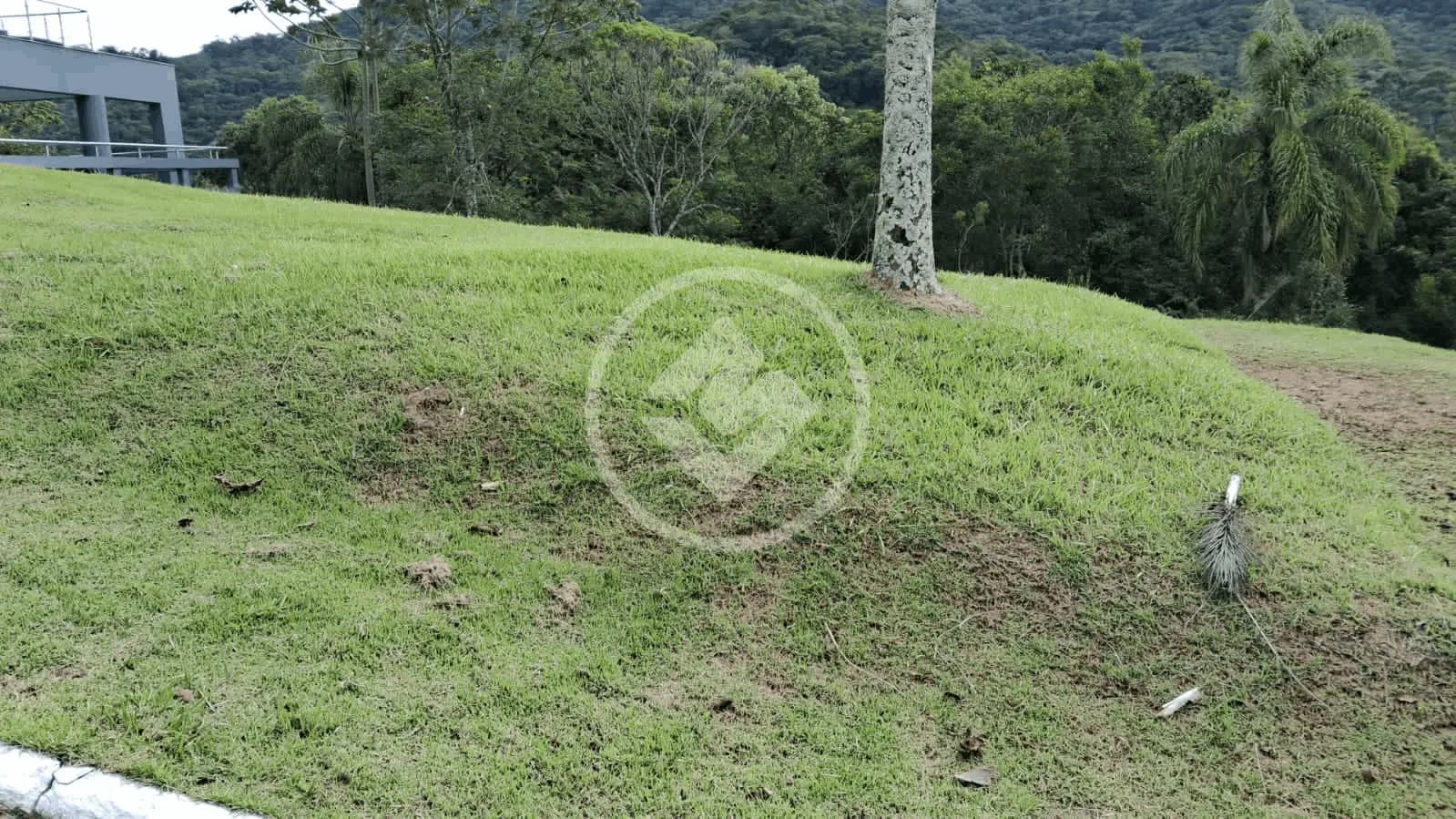 Terreno no Ariribá, Balneário Camboriú — foto 4 de 4