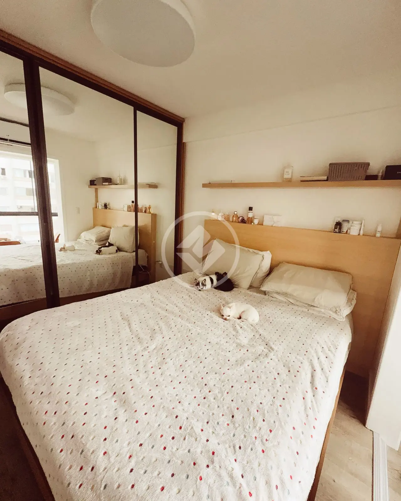Apartamento 2 quartos no Centro, Balneário Camboriú — foto 6 de 6