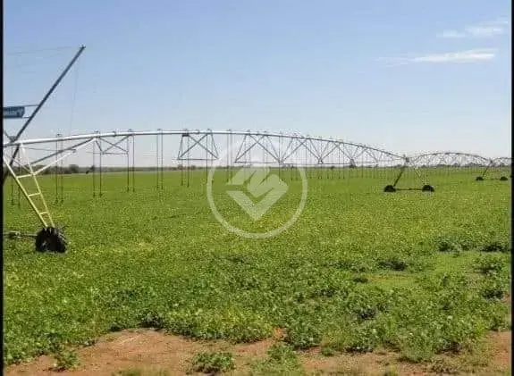 Fazenda Setor Central, Jussara - BA — foto 2