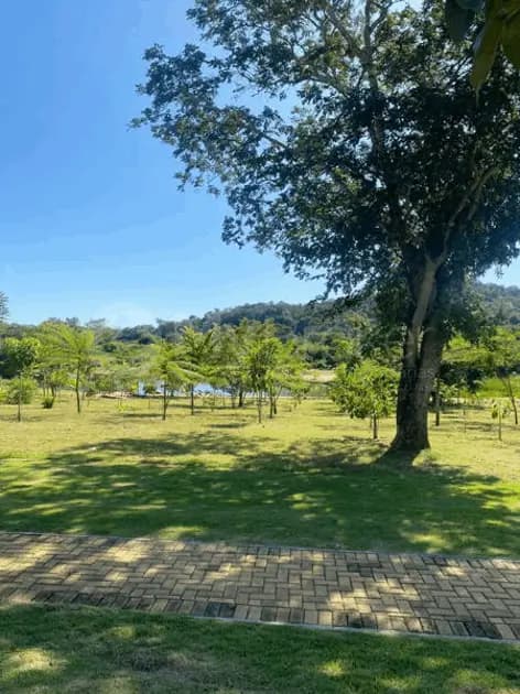 Terreno Condomínio no Jardins Porto, Senador Canedo — foto 6 de 6