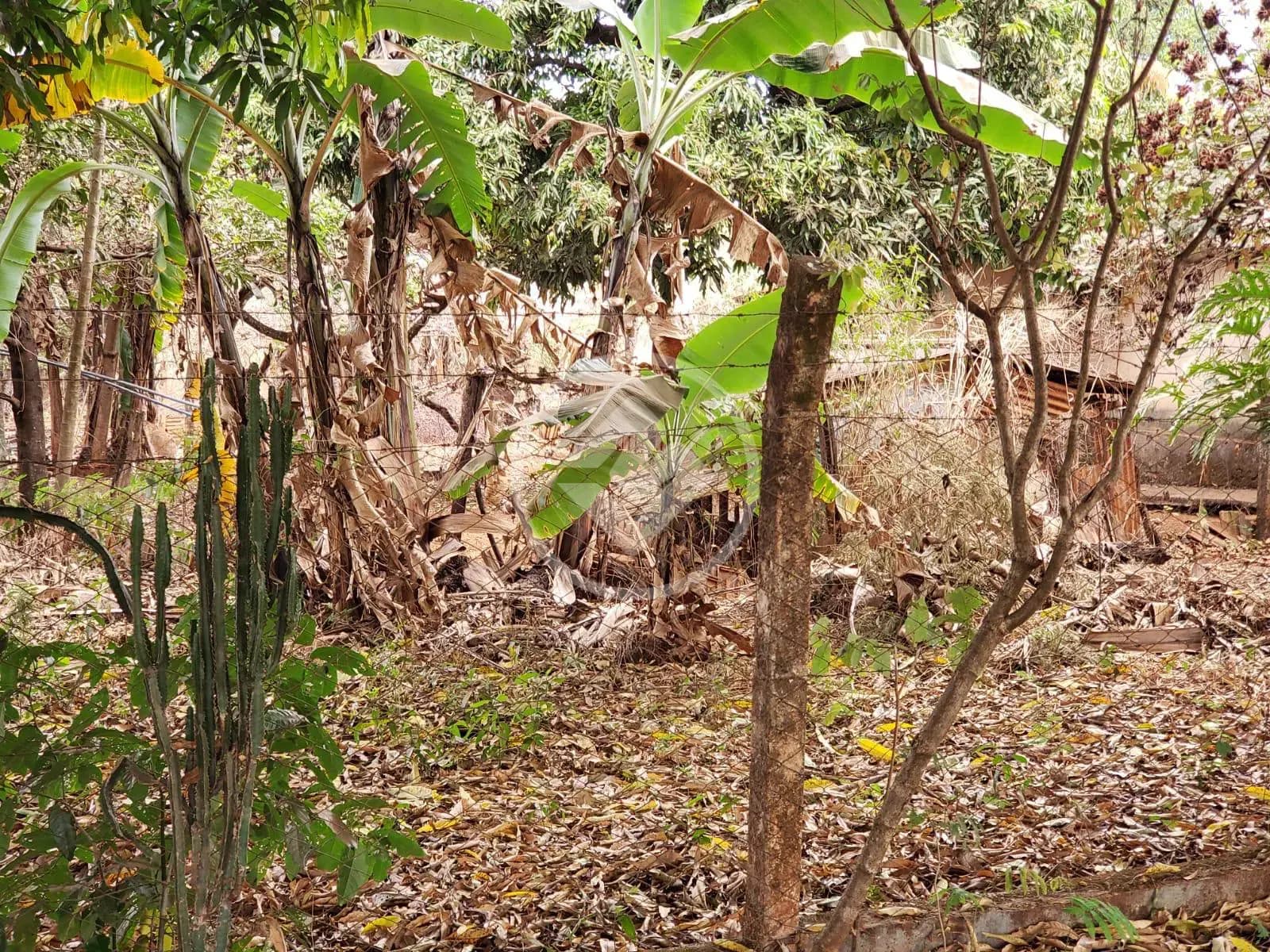 Terreno no Sítios Recreio Bandeirantes, Goiânia — foto 3 de 6