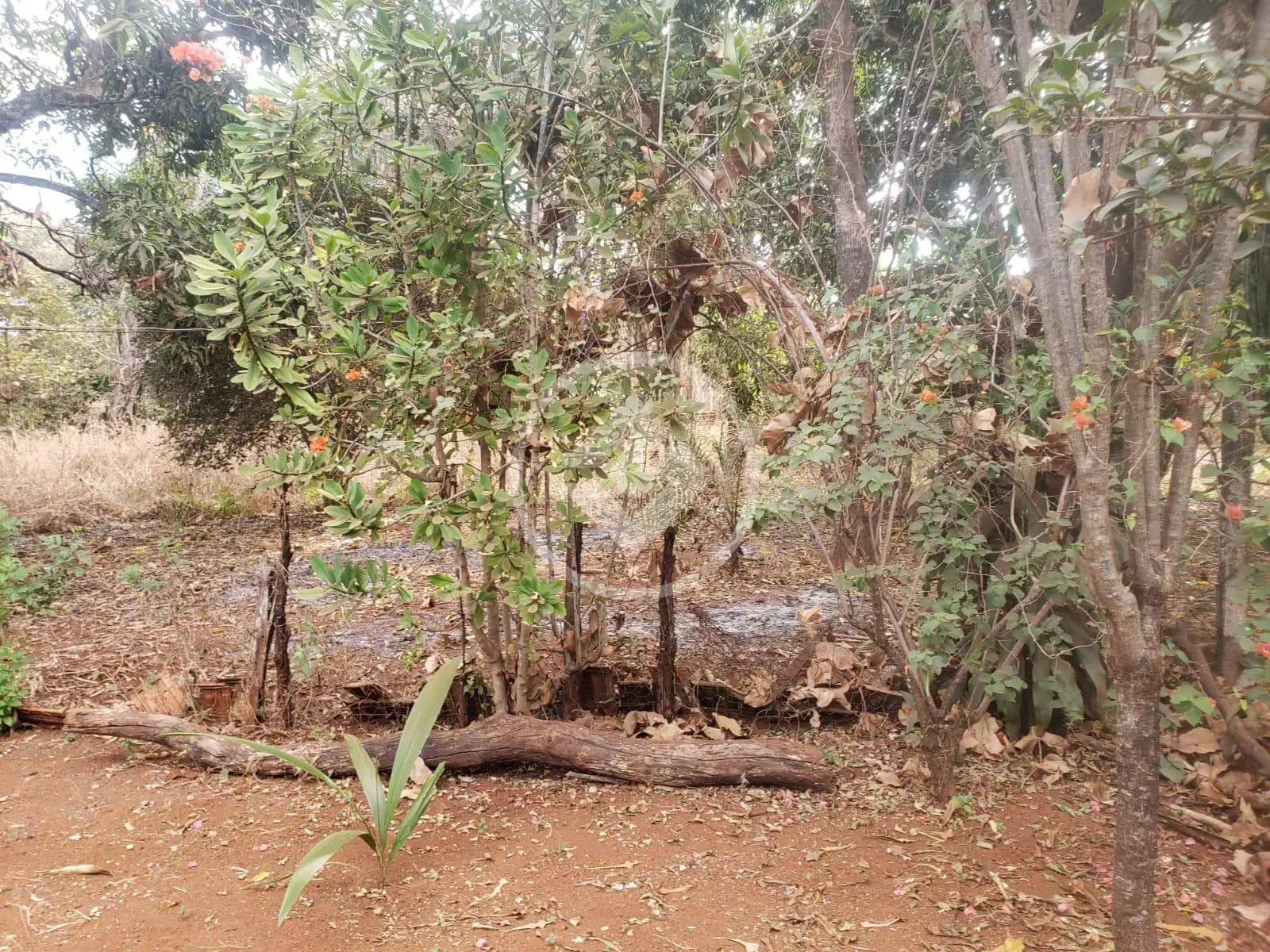 Terreno Sítios Recreio Bandeirantes, Goiânia - GO — foto 1