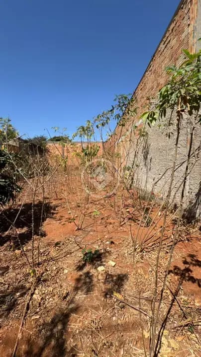 Terreno no Jardim Florença, Aparecida de Goiânia — foto 6 de 6