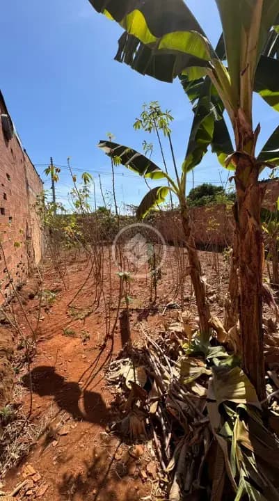 Terreno no Jardim Florença, Aparecida de Goiânia — foto 4 de 6