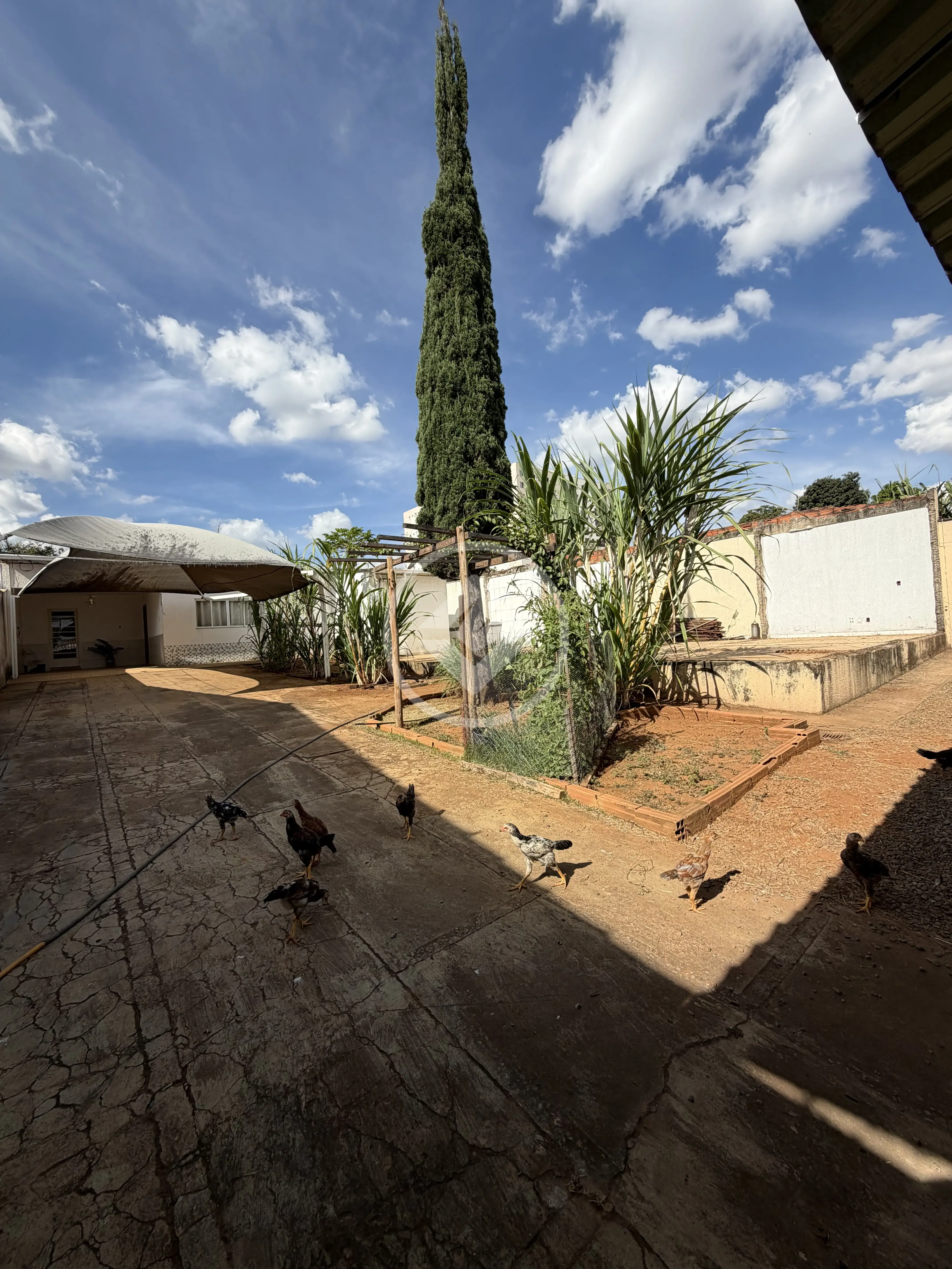 Terreno no Vila Rosa, Goiânia — foto 3 de 6