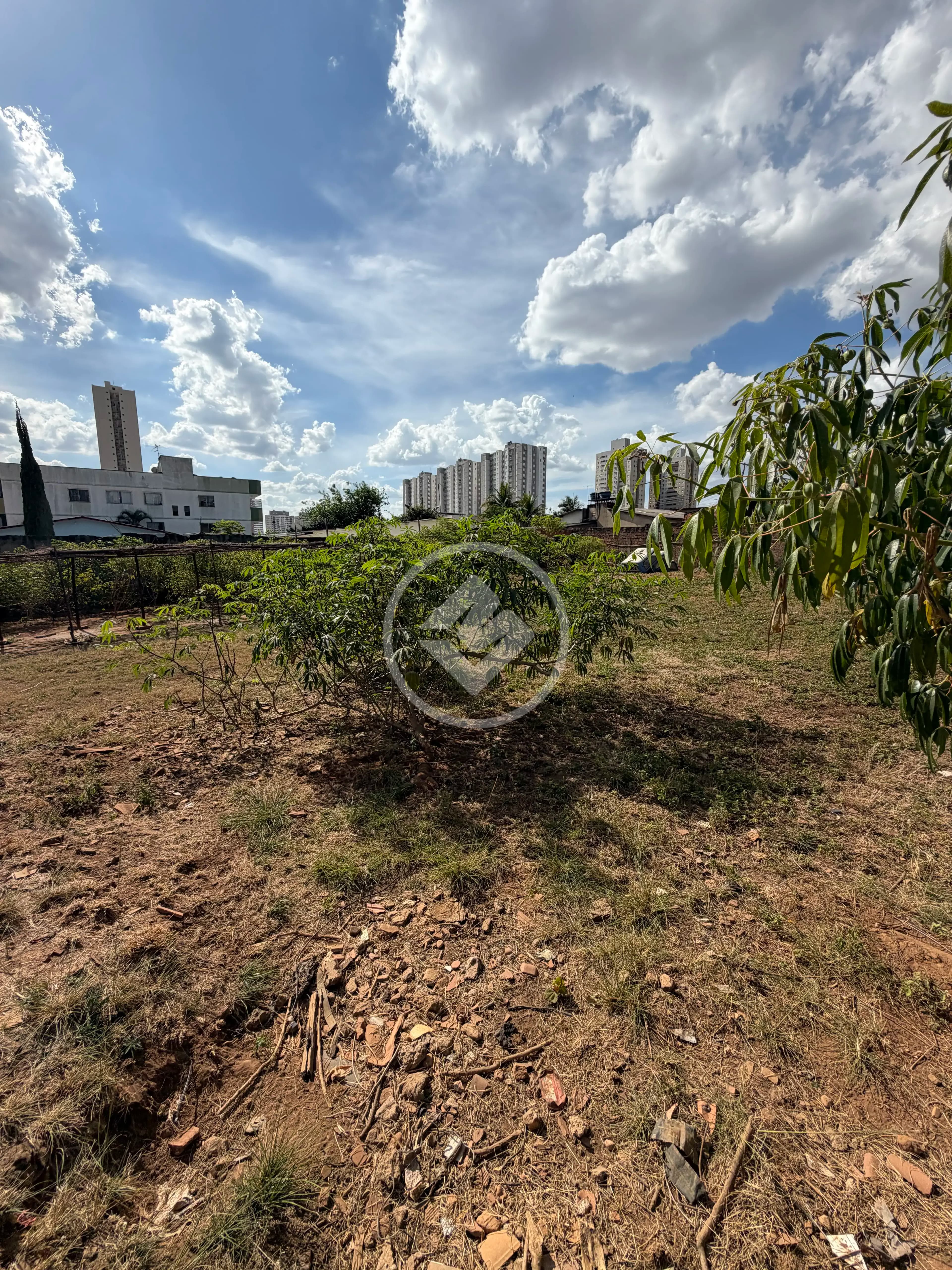 Terreno no Vila Rosa, Goiânia — foto 6 de 6