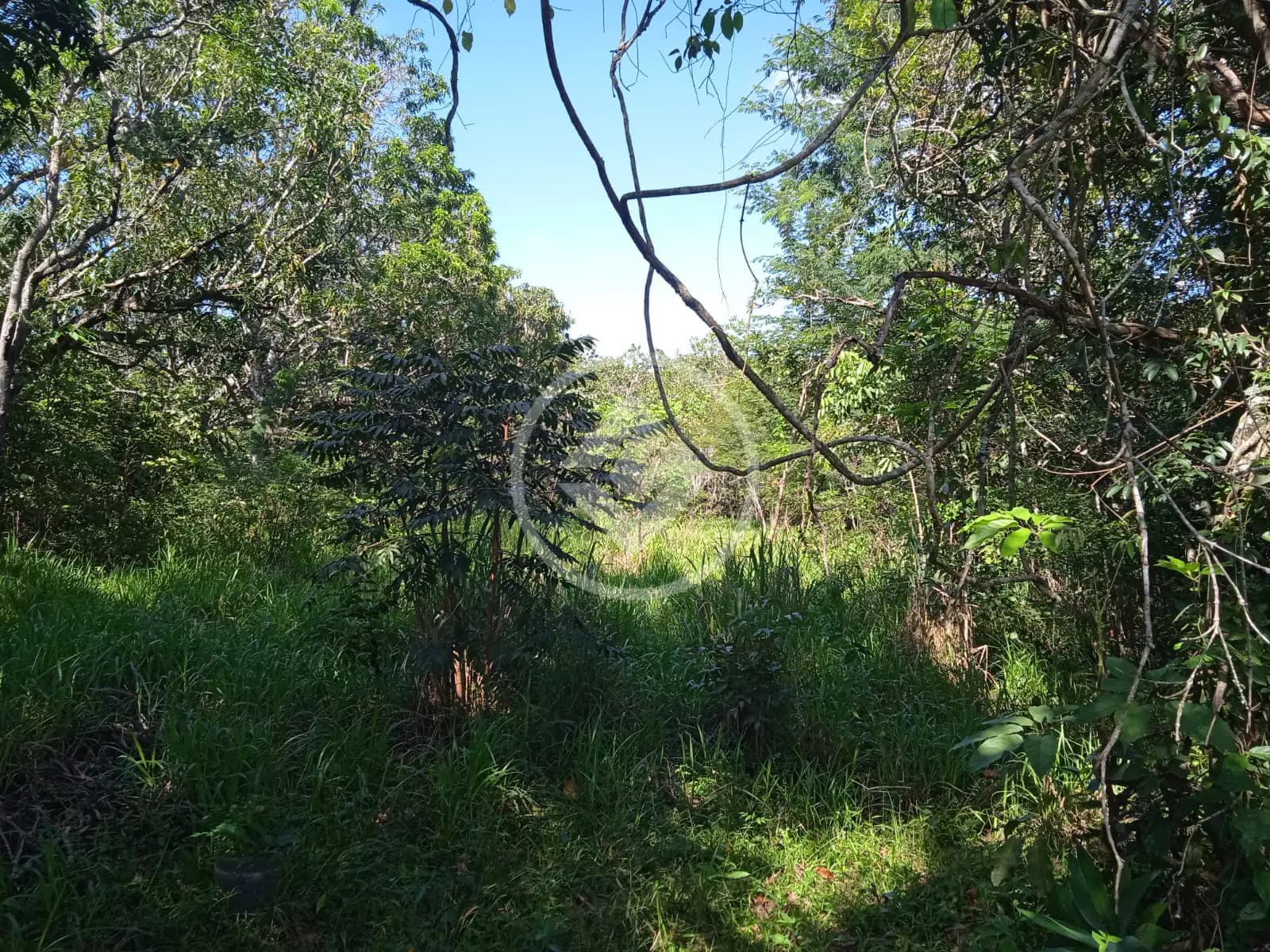 Terreno no Estância Vargem Bonita, Senador Canedo — foto 3 de 6
