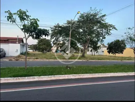 Lote de Avenida Setor belvedere