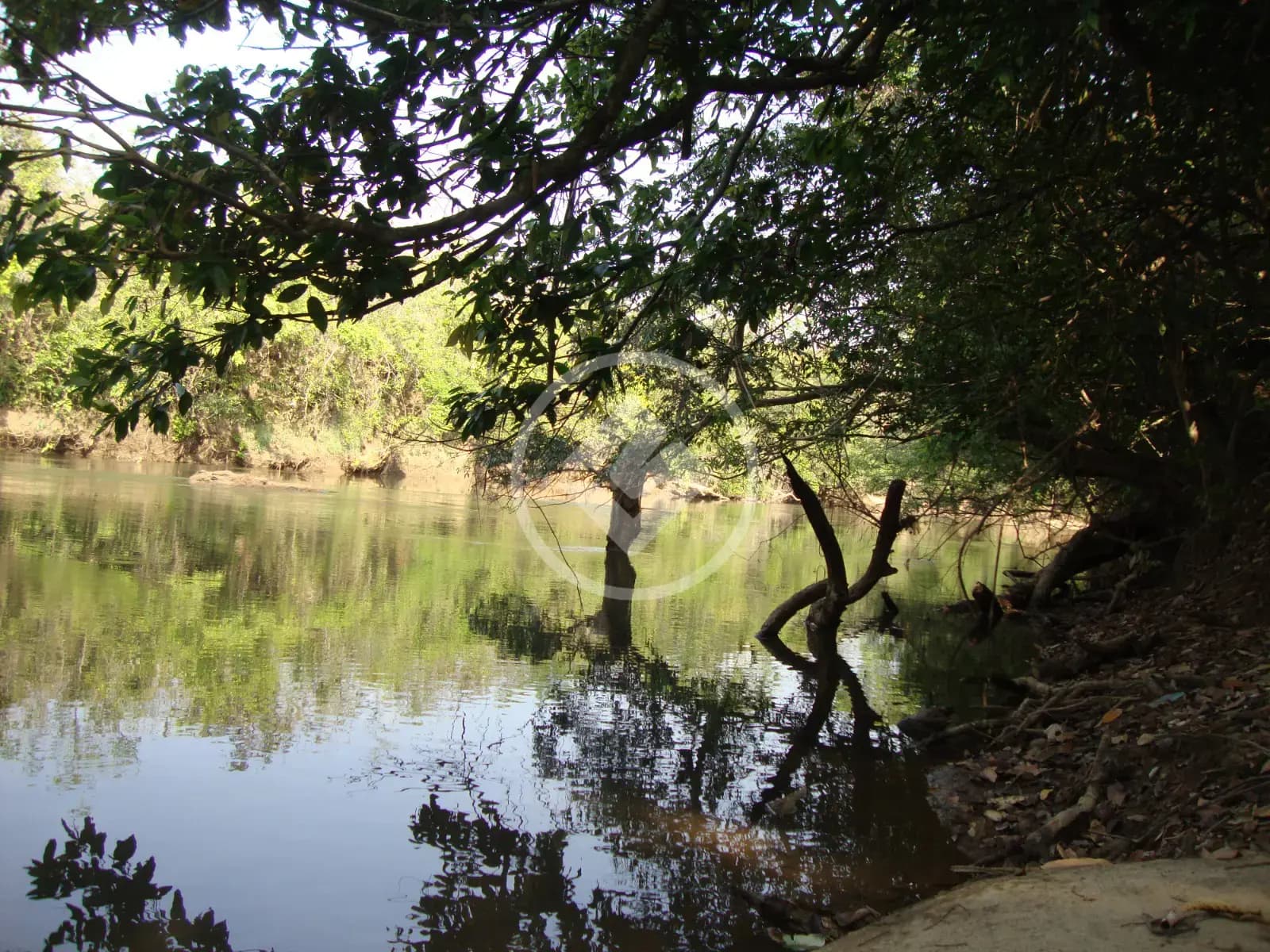 Chácara no Área Rural de Caldas Novas, Caldas Novas — foto 5 de 6