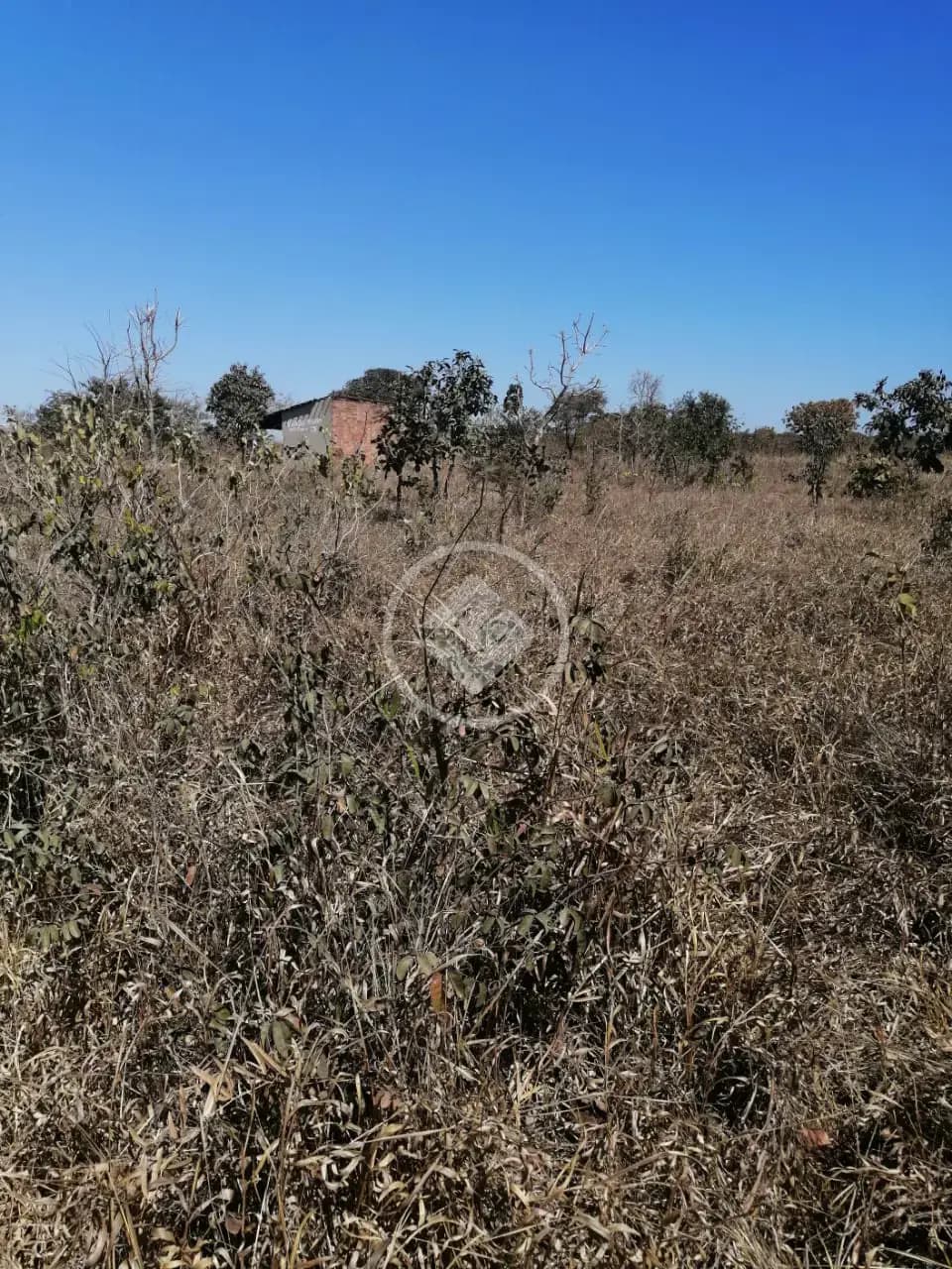 Terreno Centro, Caldas Novas - GO — foto 1