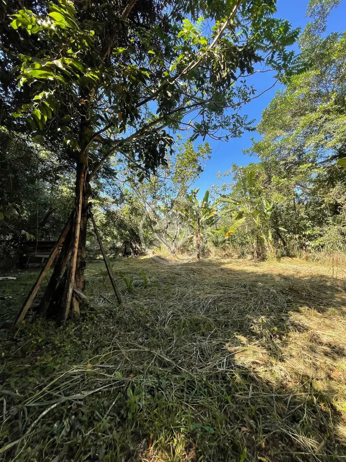 Chácara no Zona Rural, Caldas Novas — foto 6 de 6