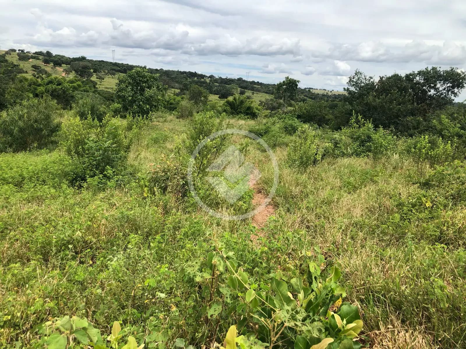 Fazenda Área Rural de Caldas Novas, Caldas Novas - GO — foto 2