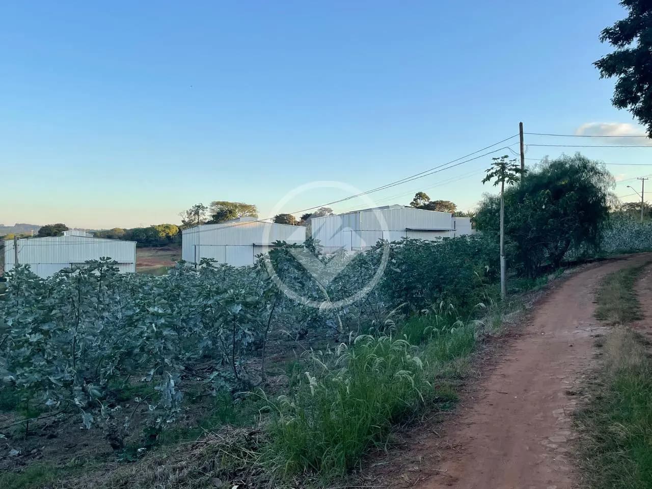 Chácara 3 quartos no Reforma Agrária, Campinas — foto 5 de 6