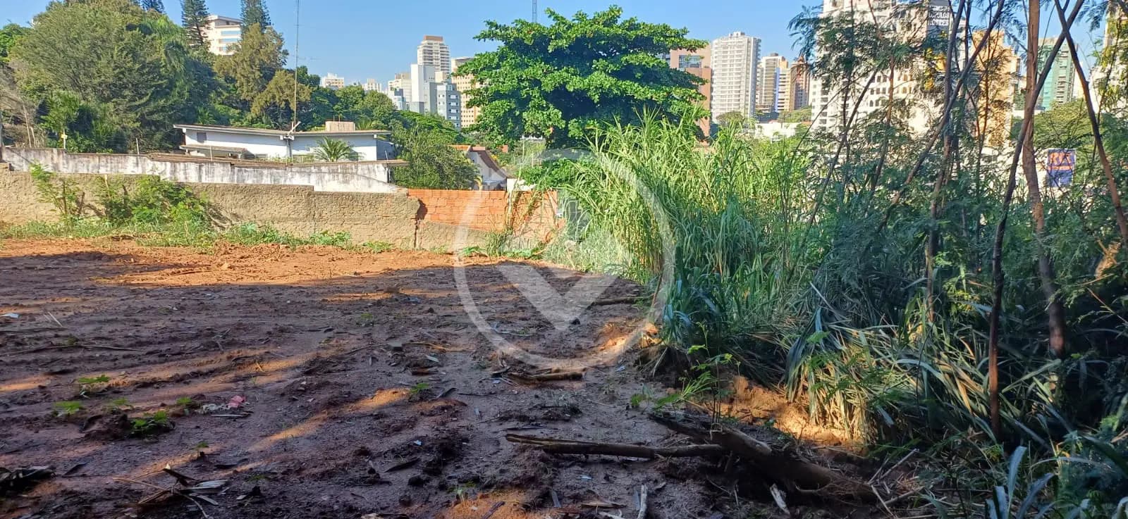 Terreno no Nova Campinas, Campinas — foto 5 de 6