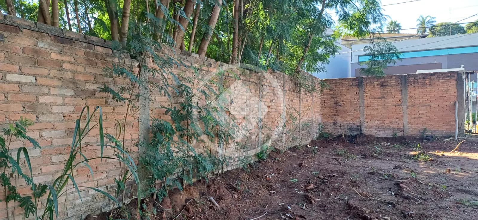 Terreno no Nova Campinas, Campinas — foto 3 de 6
