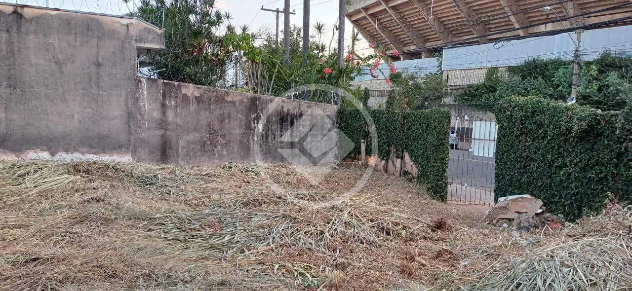 Terreno no Jardim Guarani, Campinas — foto 4 de 6