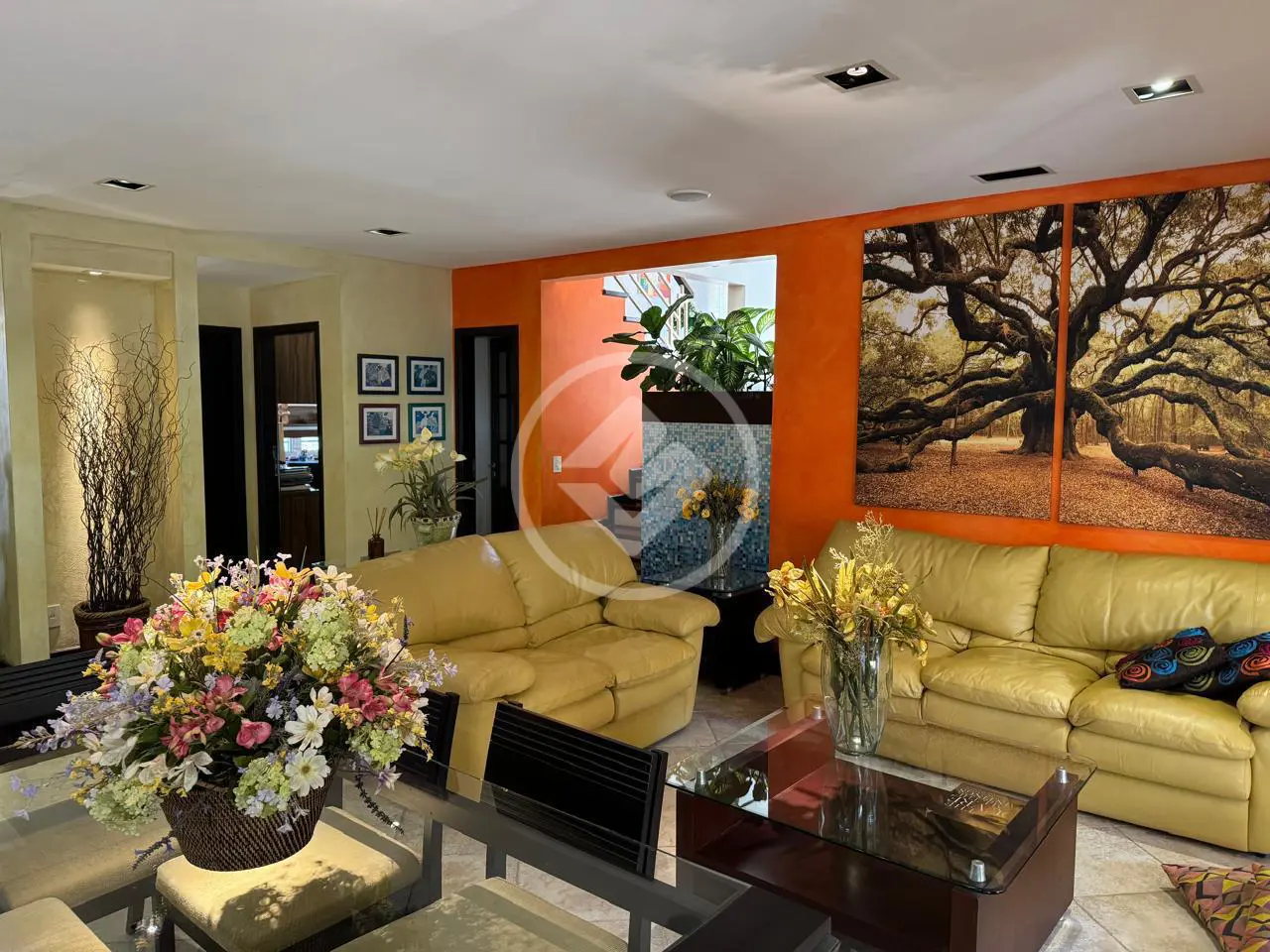 Casa no Alphaville Campinas, muito verde e gourmet com Piscina