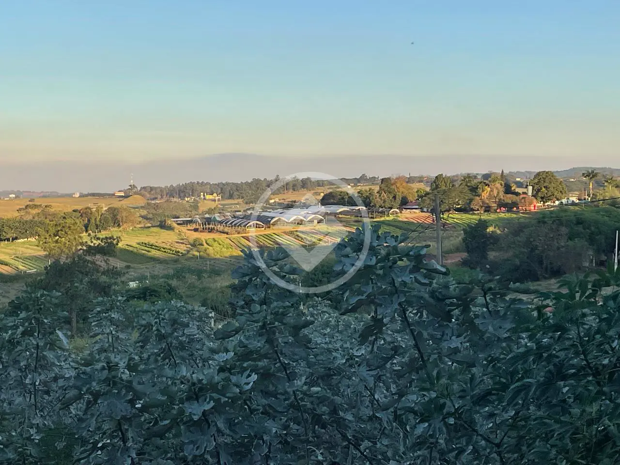 Chácara 3 quartos no Reforma Agrária, Campinas — foto 3 de 6
