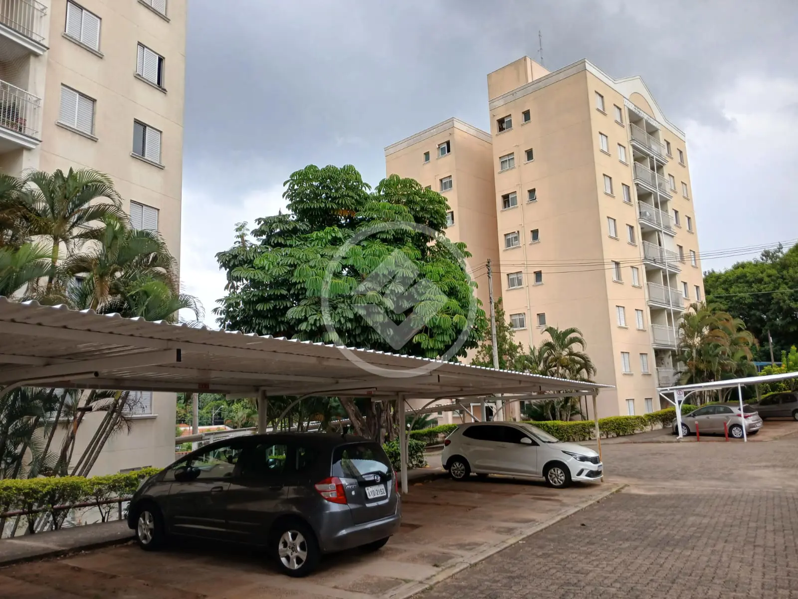 Apartamento Vila Nova Teixeira, Campinas - SP — foto 1