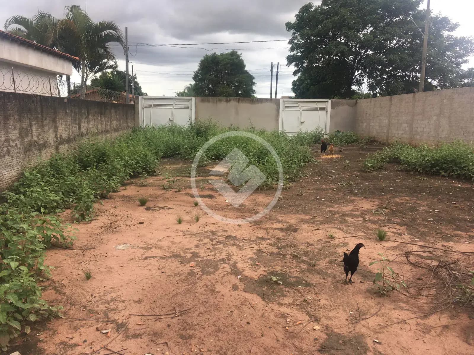 Terreno no Cidade Satélite Íris, Campinas — foto 4 de 6