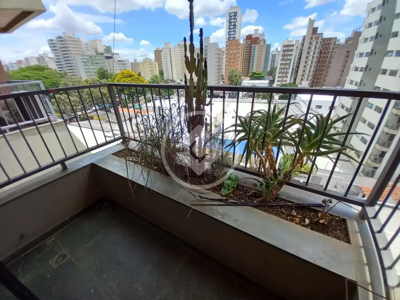 Apartamento 3 quartos no Cambuí, Campinas — foto 3 de 6