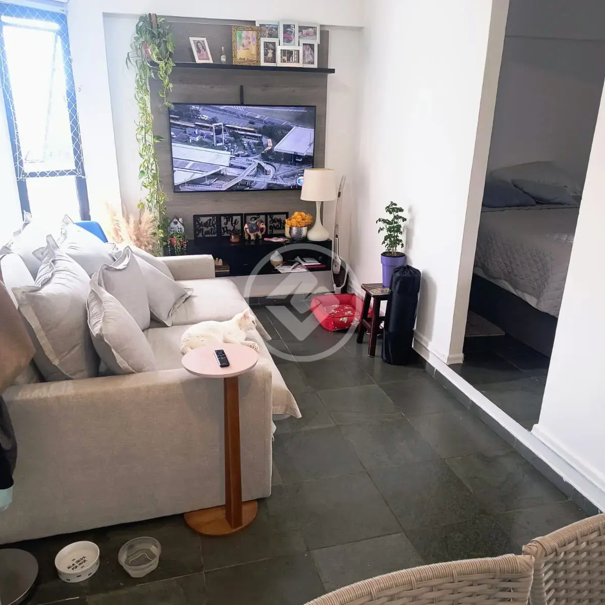 Apartamento Cambuí, Campinas - SP — foto 2