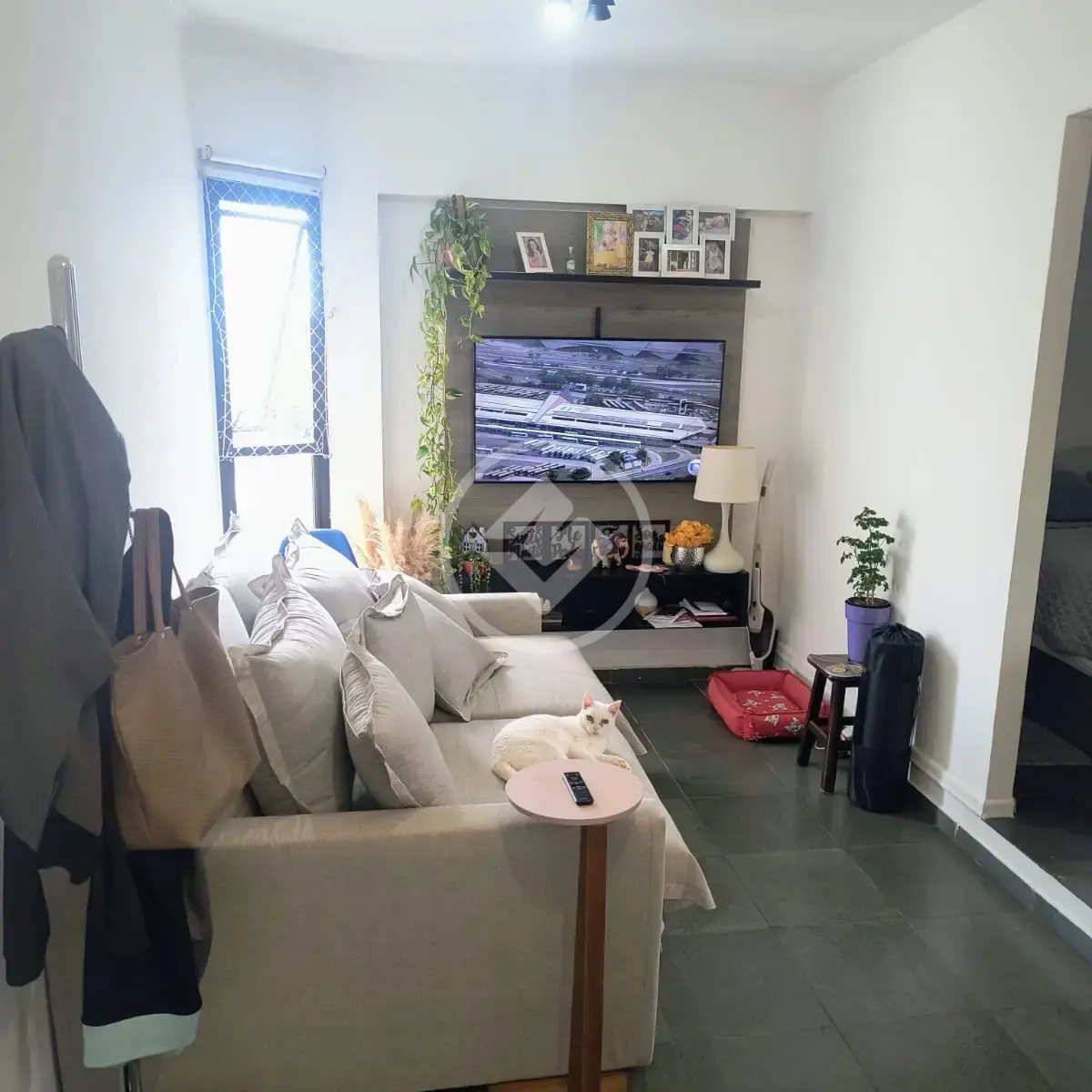 Apartamento Cambuí, Campinas - SP — foto 1