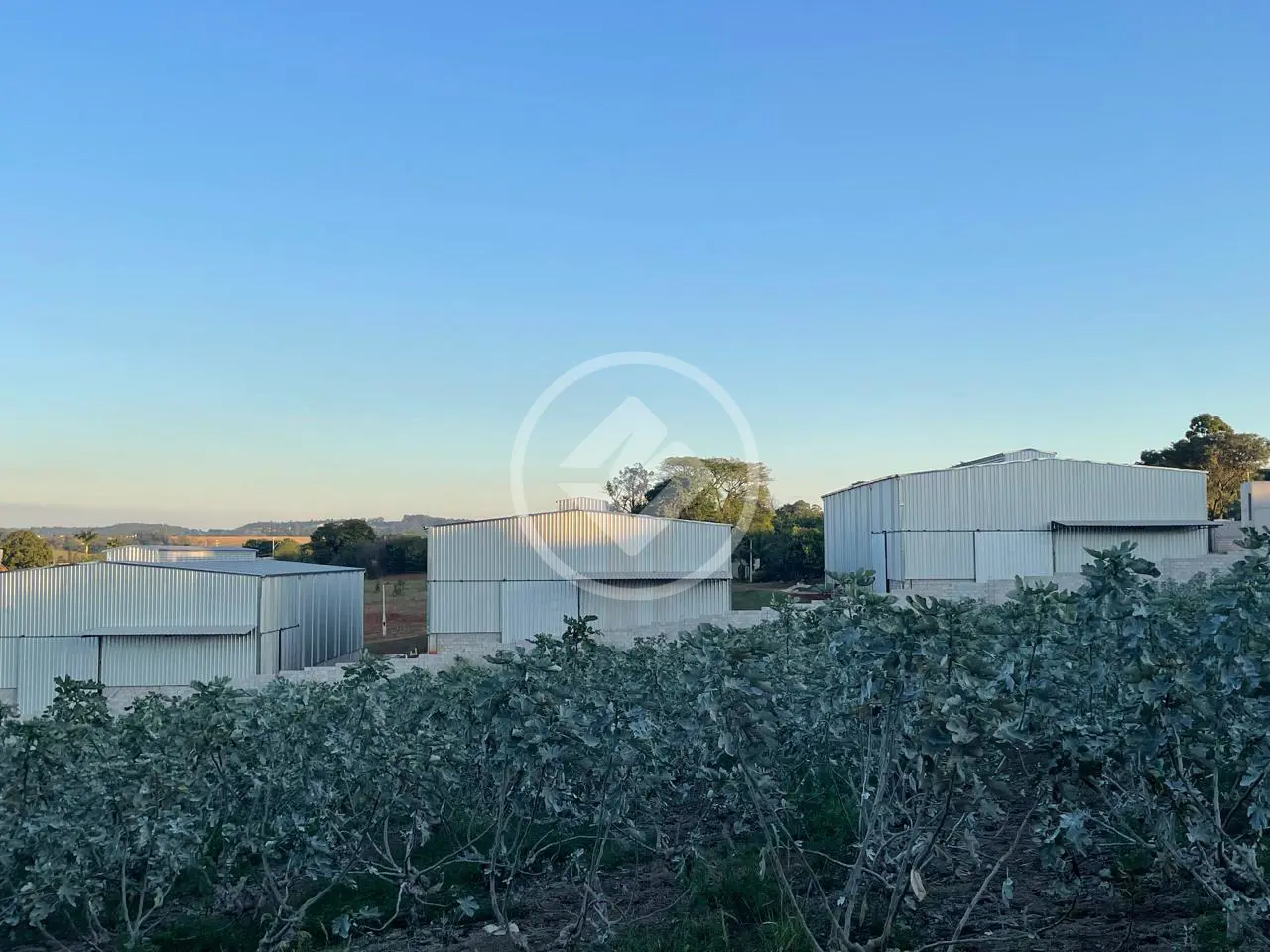 Chácara 3 quartos no Reforma Agrária, Campinas — foto 4 de 6