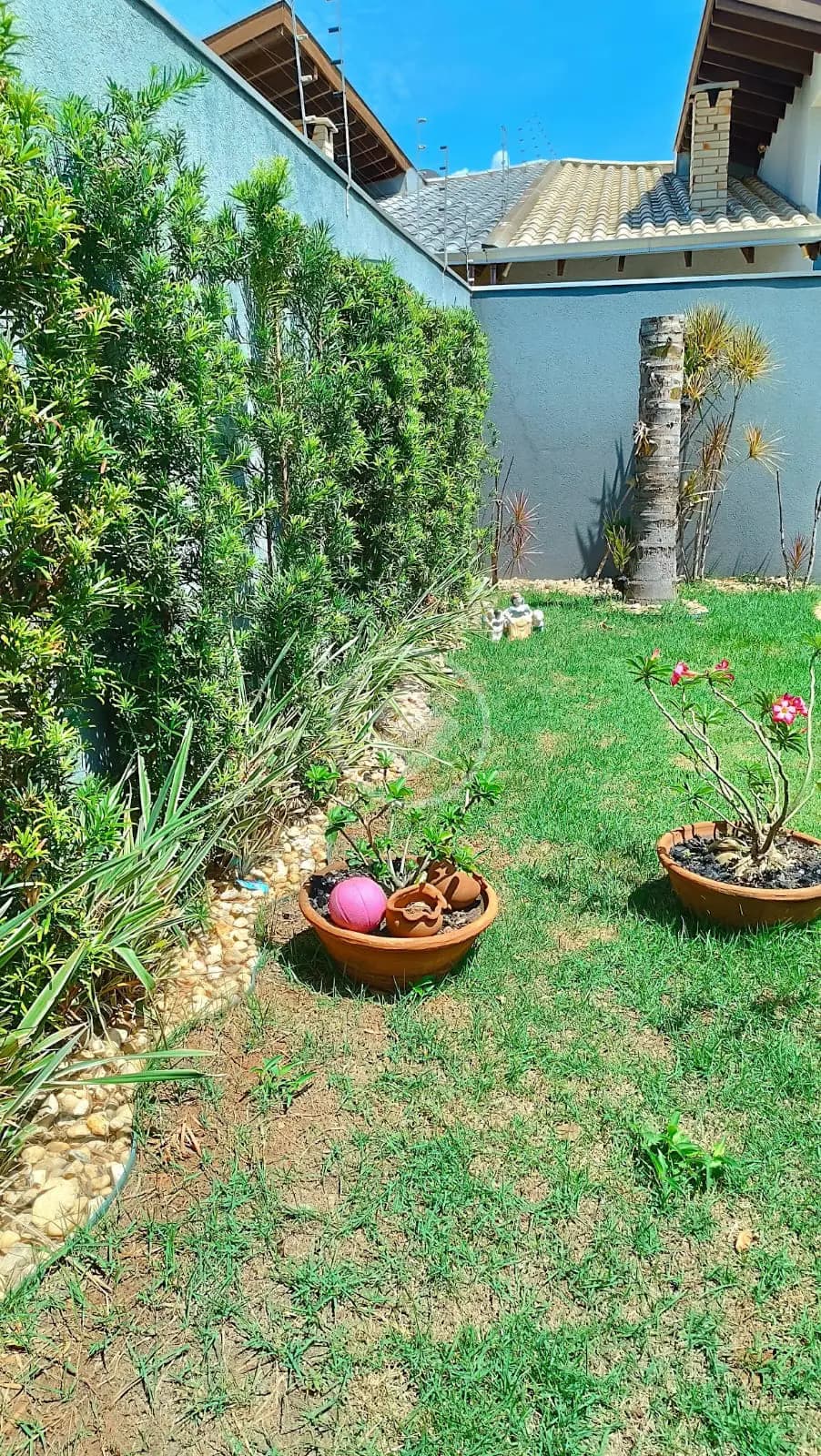 Casa 2 quartos no RITA VIEIRA, Campo Grande — foto 3 de 6