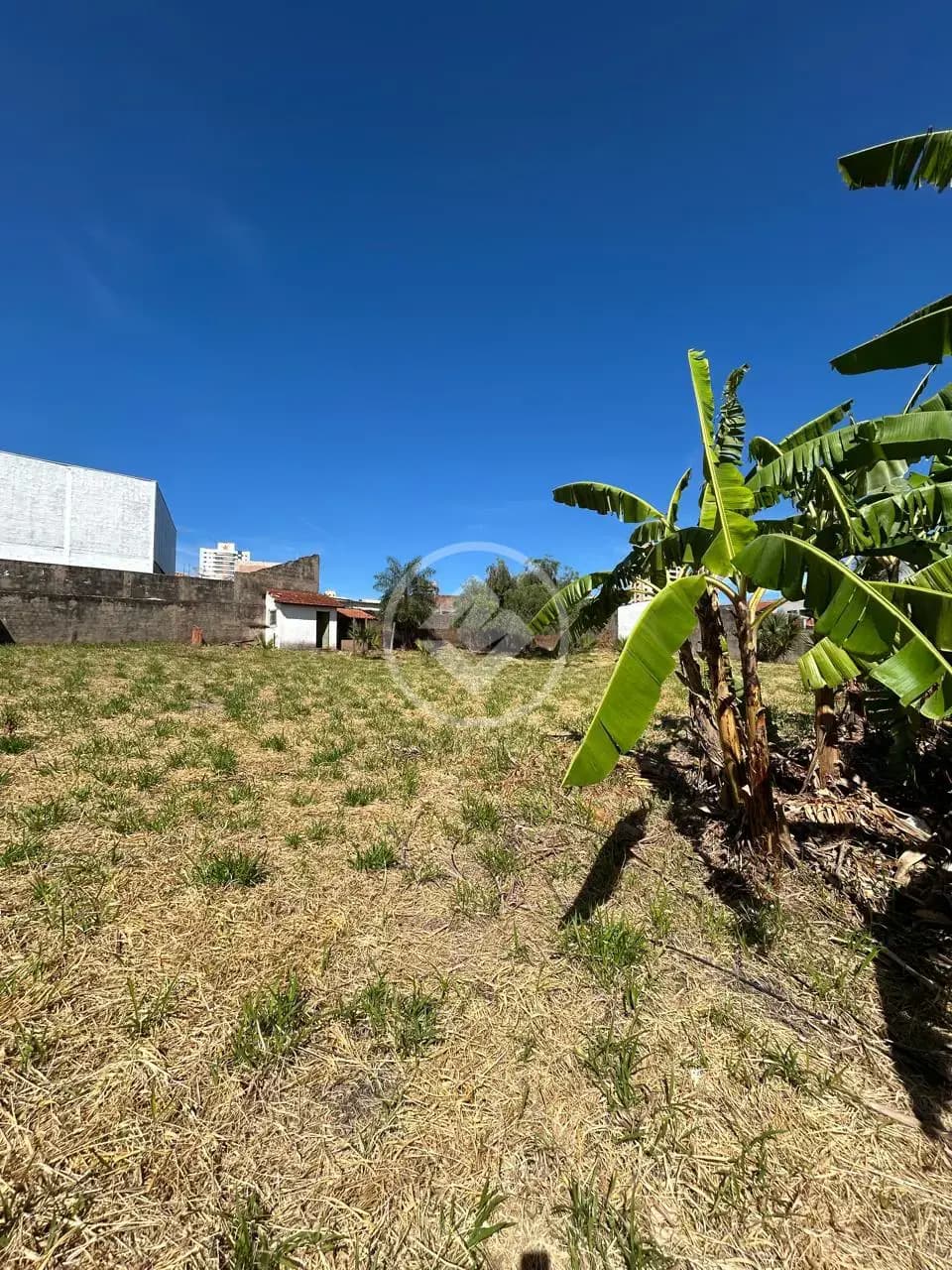 Terreno no Monte Castelo, Campo Grande — foto 3 de 6