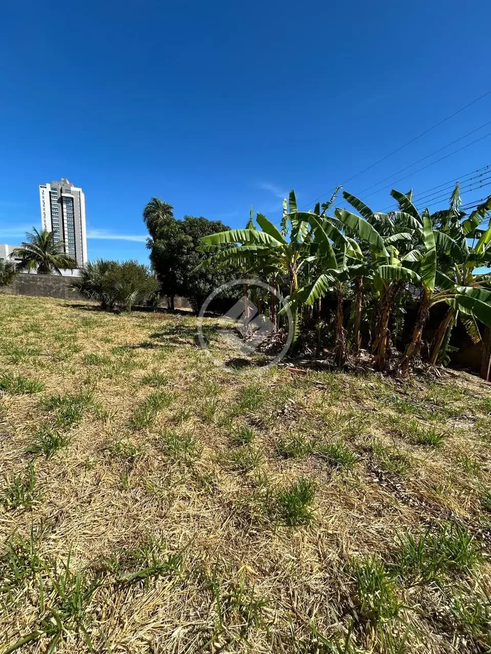 Terreno no Monte Castelo, Campo Grande — foto 4 de 6