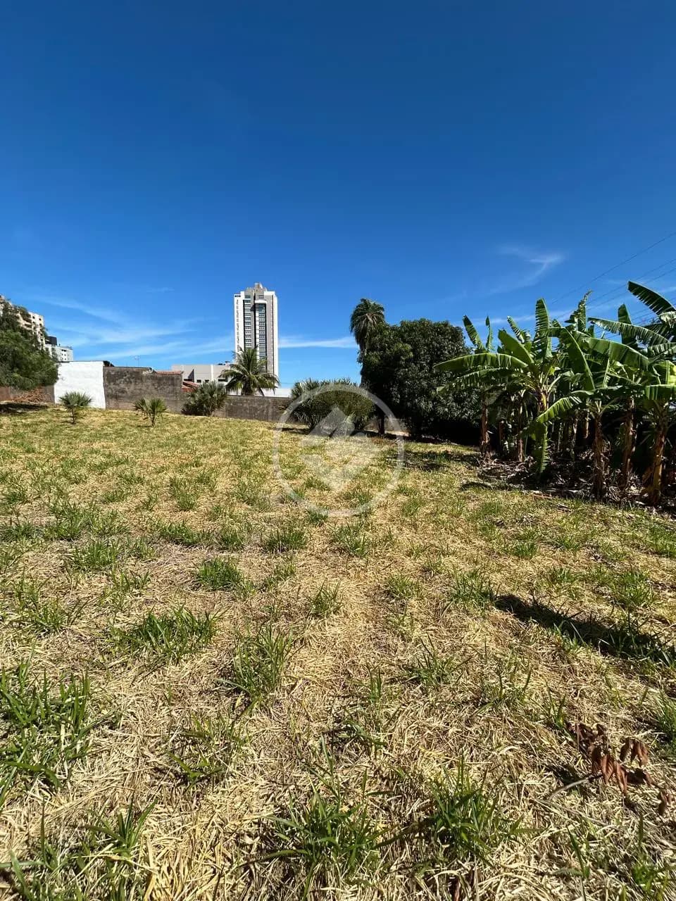 Terreno no Monte Castelo, Campo Grande — foto 5 de 6