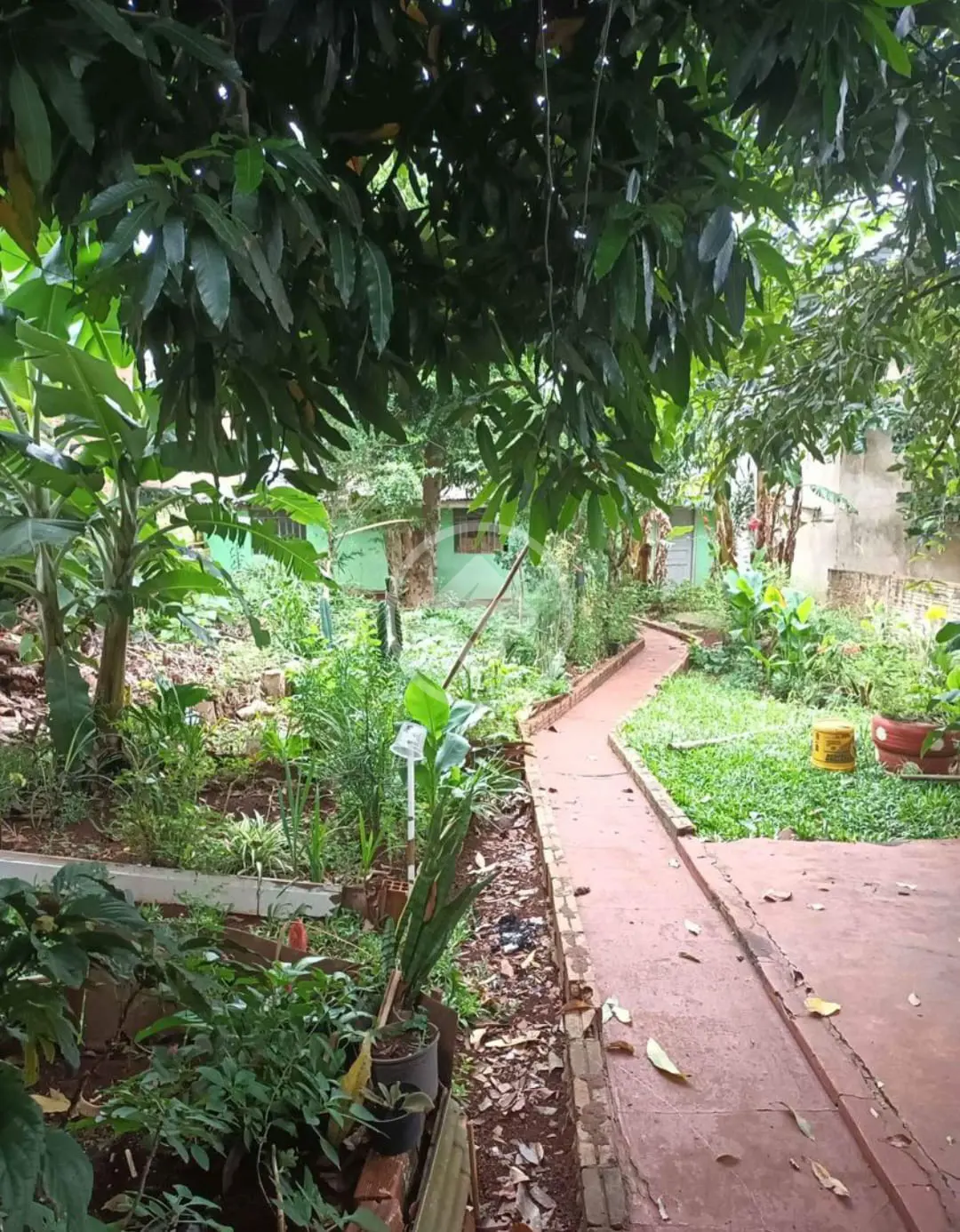 Terreno no Centro, Cascavel — foto 5 de 6