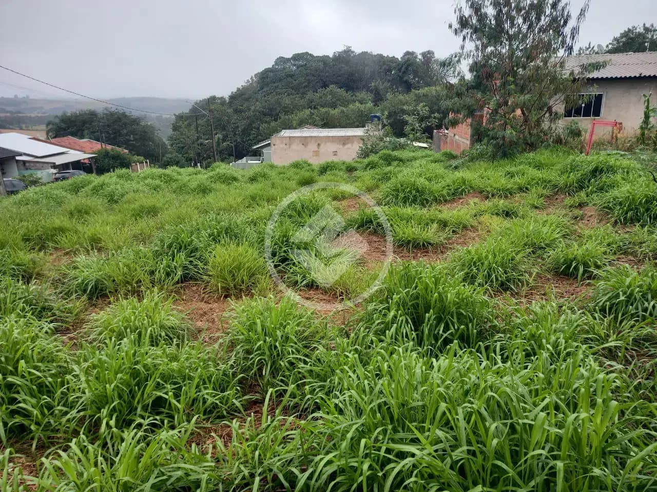 Terreno no Centro, Lindoeste — foto 3 de 4