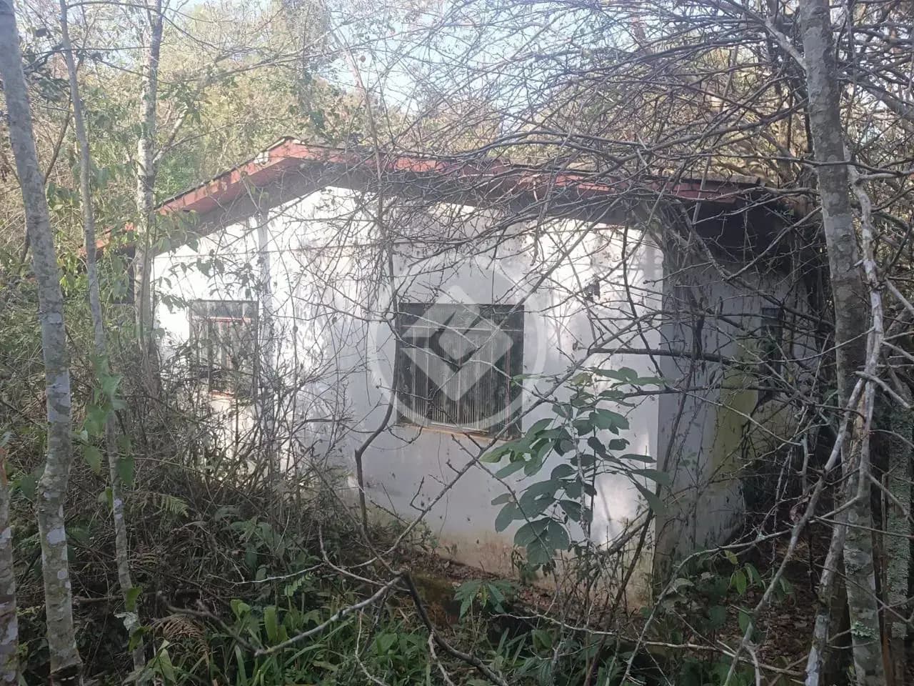 Chácara no São João d'Oeste, Cascavel — foto 3 de 6