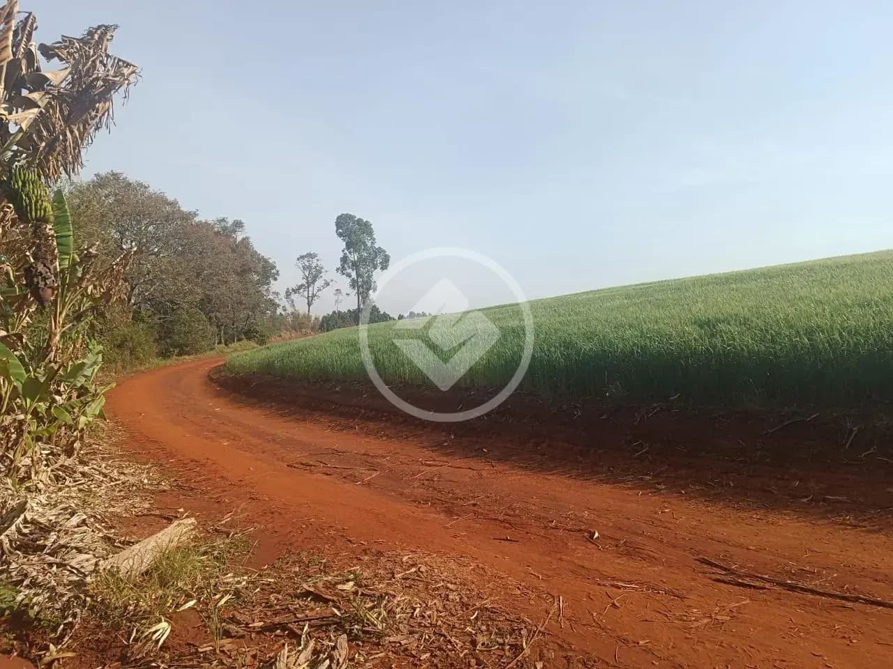 Chácara no São João d'Oeste, Cascavel — foto 6 de 6
