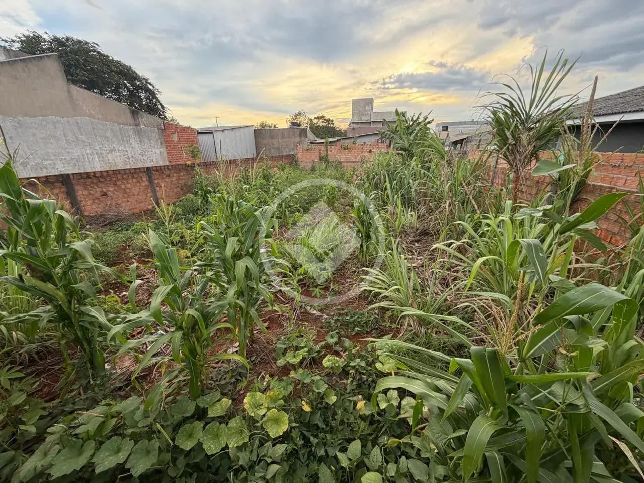 Terreno no Cascavel Velho, Cascavel — foto 3 de 6