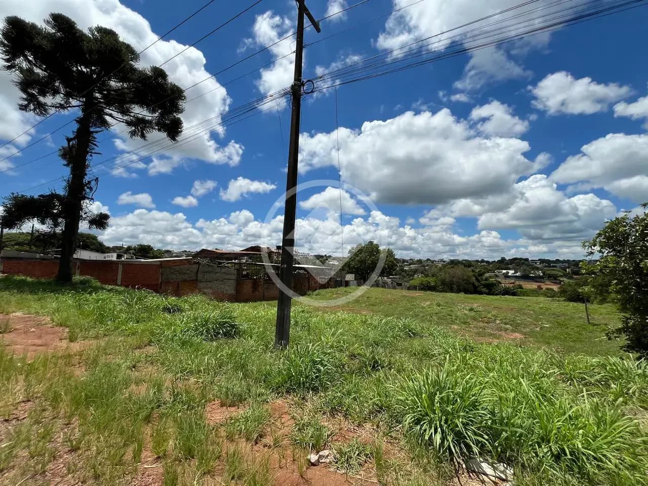 Terreno Comercial no 14 de Novembro, Cascavel — foto 4 de 6