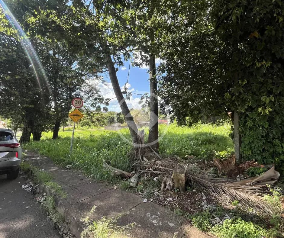Terreno Comercial no Bairro Coqueiral, Cascavel — foto 4 de 5
